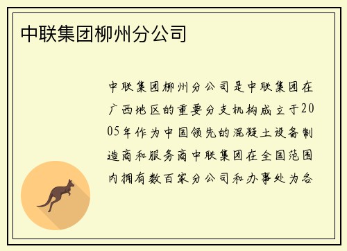 中联集团柳州分公司