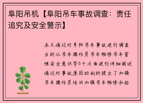 阜阳吊机【阜阳吊车事故调查：责任追究及安全警示】